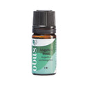 Angelica Root - Obus Professional - Ireland