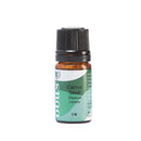 Carrot Seed - Obus Professional - Ireland