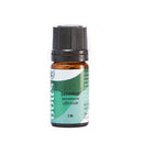 Jasmine Absolute - Obus Professional - Ireland