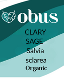 Clary Sage