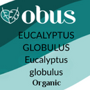 Eucalyptus (Globulus)