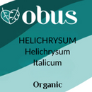 Helichrysum