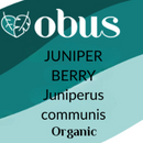 Juniper Berry