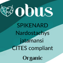 Spikenard