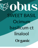 Basil, Sweet