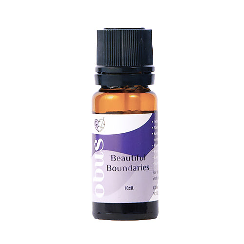 Beautiful Boundaries Essential Oils Blend