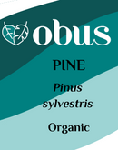 Pine
