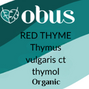 Thyme, Red