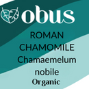 Chamomile, Roman