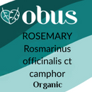 Rosemary