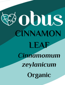 Cinnamon Leaf
