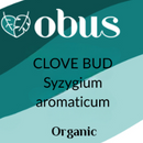 Clove Bud