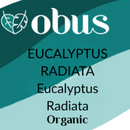 Eucalyptus (Radiata)