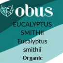 Eucalyptus (Smithii)