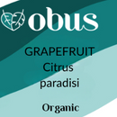 Grapefruit
