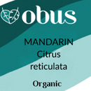 Mandarin