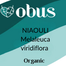 Niaouli