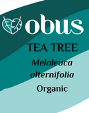 Tea Tree