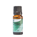 Eucalyptus (Staigerianna) - Obus Professional - Ireland